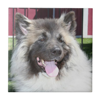 Azulejo De Cerámica Perro de Akita