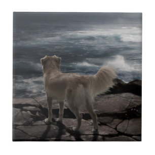 Azulejo De Cerámica Perro de mar