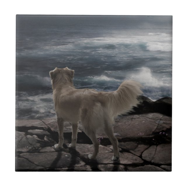 Azulejo De Cerámica Perro de mar (Frente)