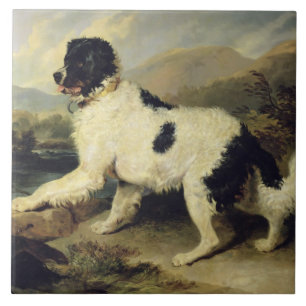 Azulejo De Cerámica Perro de Terranova llamado León, 1824 (aceite en 