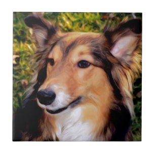 Azulejo De Cerámica Perro del rescate