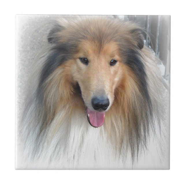 Azulejo De Cerámica Perro dulce (Frente)