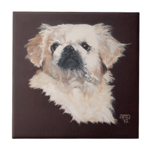 Azulejo De Cerámica Perro pequinés blanco
