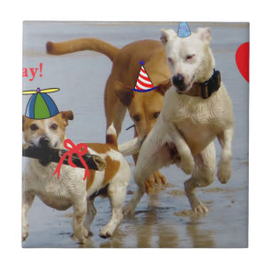 Azulejo De Cerámica perros de cumpleaños felices