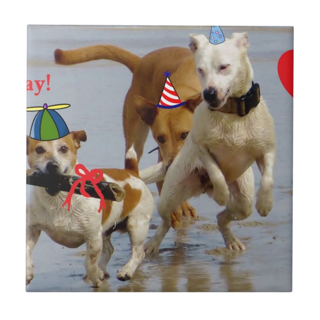 Azulejo De Cerámica perros de cumpleaños felices (Frente)