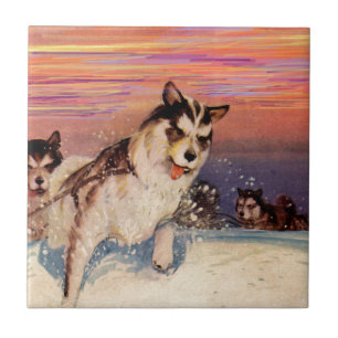Azulejo De Cerámica Perros husky siberianos de los años 1940 haciendo
