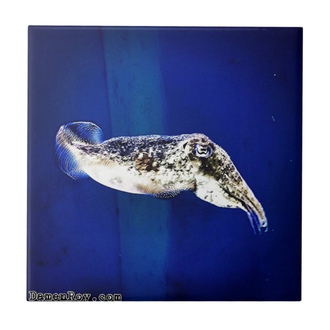 Azulejo De Cerámica Pescado (Frente)