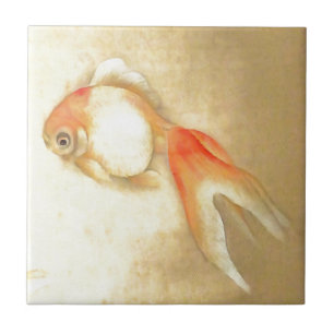 Azulejo De Cerámica Pescado de oro japonés apacible