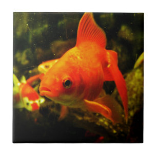 Azulejo De Cerámica Pescado dorado