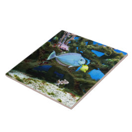 Azulejo De Cerámica Pescados del azul del mar