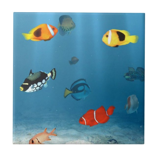 Azulejo De Cerámica Pescados en el océano (Frente)