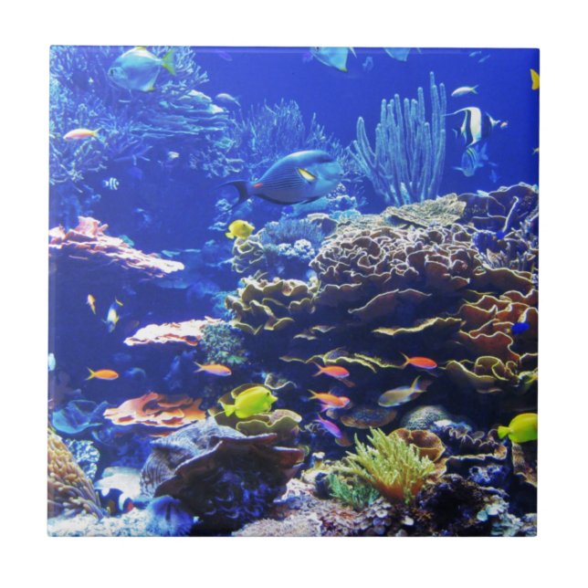 Azulejo De Cerámica Pescados tropicales (Frente)