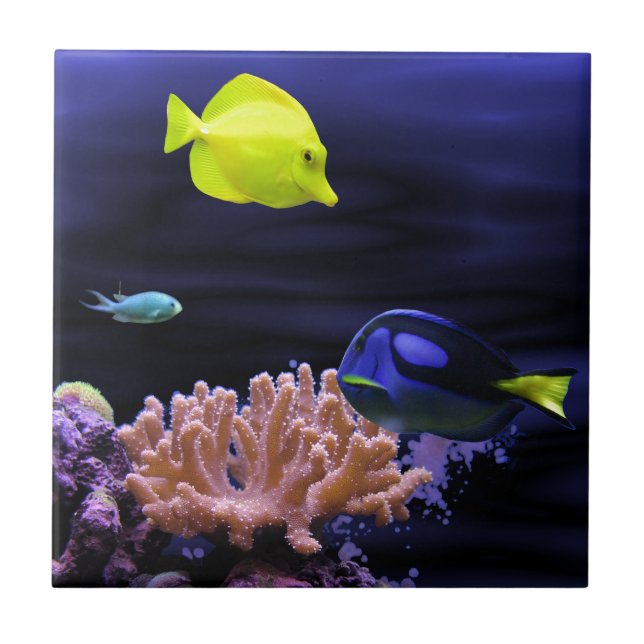 Azulejo De Cerámica Pescados tropicales coloridos (Frente)