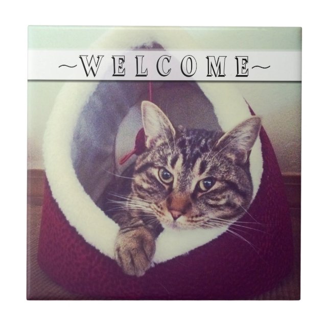 Azulejo De Cerámica Pestaña Relajando En El Personalizado De Fotografí (Frente)