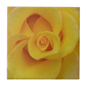 Azulejo De Cerámica Pétalos de rosa amarilla romántica