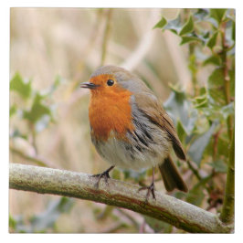 Azulejo De Cerámica Petirrojo imponente