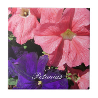 Azulejo De Cerámica Petunias rosadas y moradas
