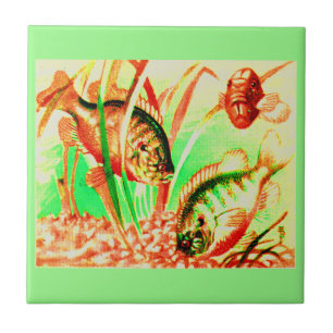 Azulejo De Cerámica pez dorado