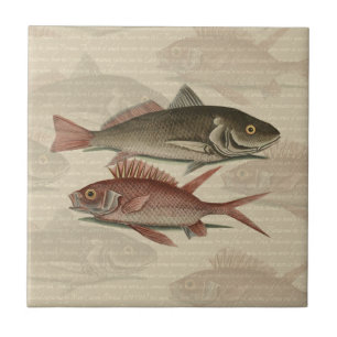 Azulejo De Cerámica Pez Lubina Roja Pescador Arte