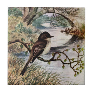 Azulejo De Cerámica Phoebe y puente de piedra sobre cala