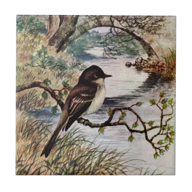 Azulejo De Cerámica Phoebe y puente de piedra sobre cala (Frente)