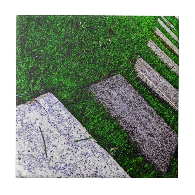 Azulejo De Cerámica Piedras en paso por Shirley Taylor (Frente)