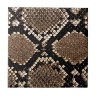 Azulejo De Cerámica Piel Diamond Back Rattlessnake