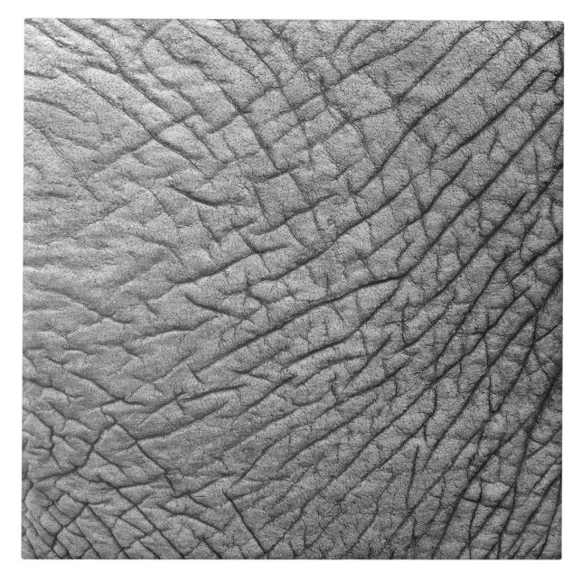 Azulejo De Cerámica Piel elefante (Frente)