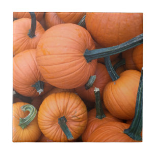 Azulejo De Cerámica ¡Pila de calabaza!