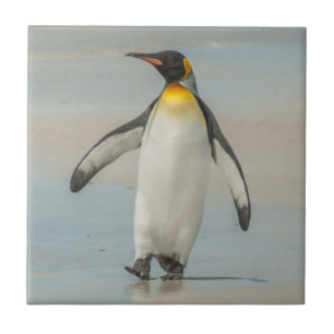 Azulejo De Cerámica Pingüino caminando en la playa