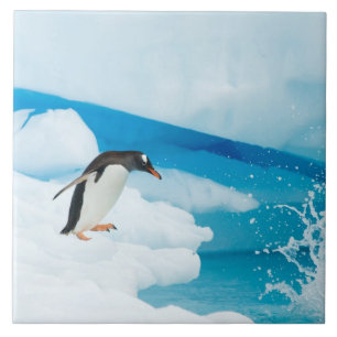 Azulejo De Cerámica pingüino de gentoo, Pygoscelis Papua, saltando