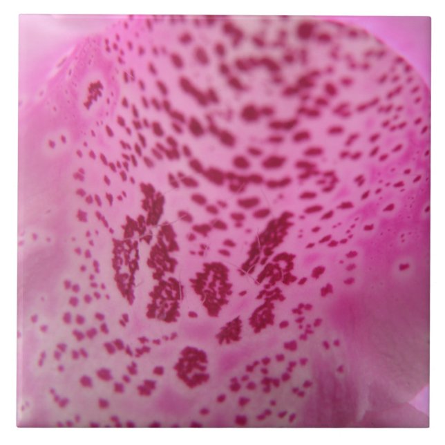 Azulejo De Cerámica Pink Foxglove Petal Tile (Frente)
