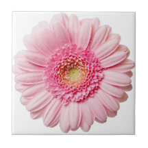 Pink Gerbera Daisy Cerámica Tile