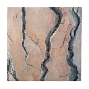 Azulejo De Cerámica Pino de Alepo