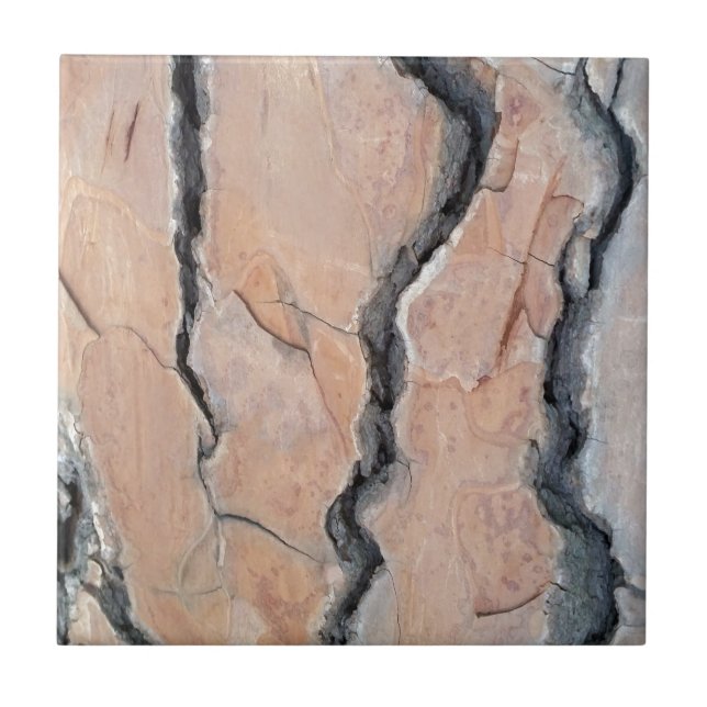 Azulejo De Cerámica Pino de Alepo (Frente)