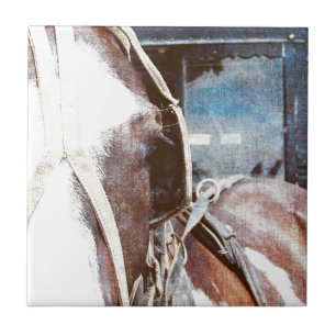 Azulejo De Cerámica Pinto Amish Buggy Horse