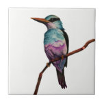 Azulejo De Cerámica Pintura del pájaro del color del caramelo de<br><div class="desc">Ésta es una pintura de la acuarela de un pájaro en colores del caramelo de algodón. Se encarama en una rama.</div>