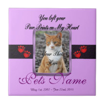 Pinturas en mi corazón - Mauve