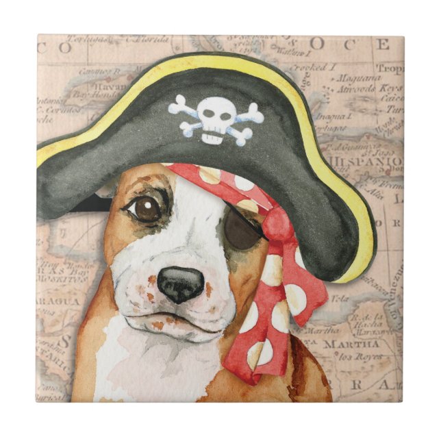 Azulejo De Cerámica Pirate Stafford (Frente)