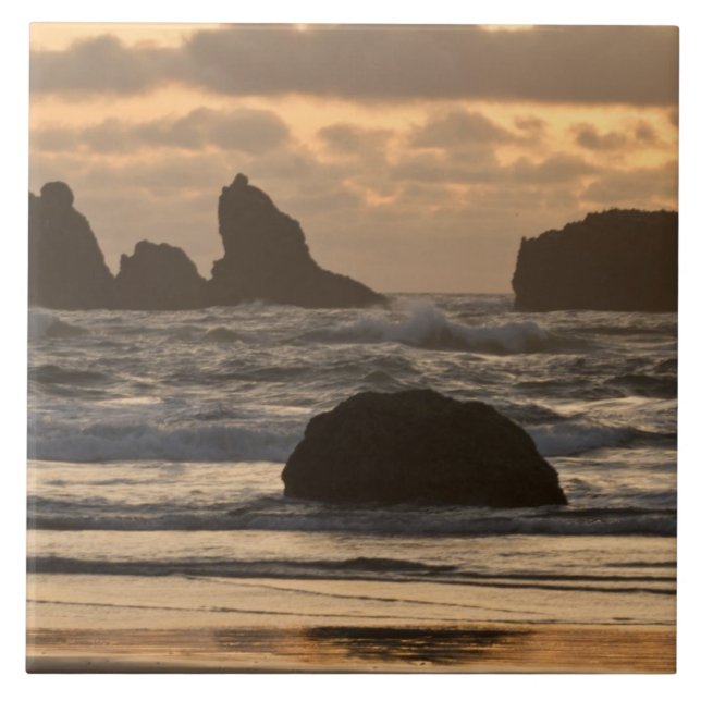Azulejo De Cerámica Pistas de mar en la playa de Bandon, Oregón (Frente)