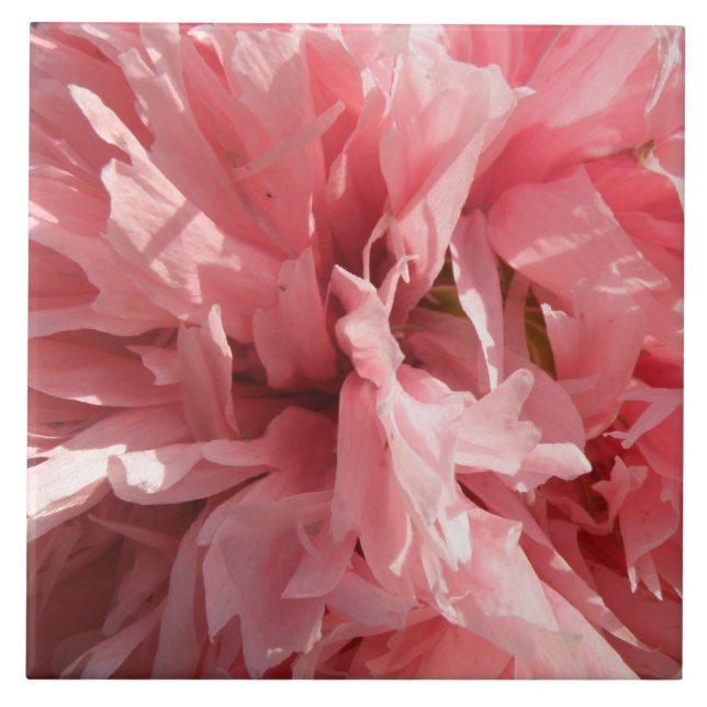 Azulejo De Cerámica Pizarra rosa bonito (Frente)