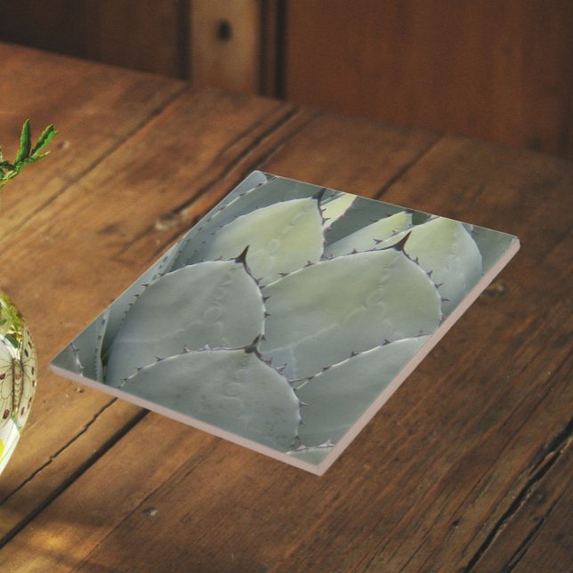 Azulejo De Cerámica Planta de Cactus Agave Estilo Suroeste (In Situ (Angled))