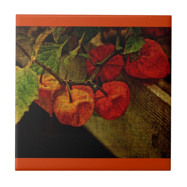 Azulejo De Cerámica Planta De Linternas Chinas Con Fruta (Frente)