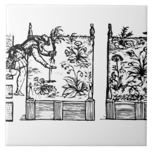 Azulejo De Cerámica Plantando en camas aumentadas, 'del Laby del