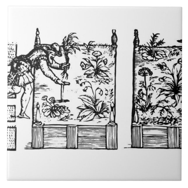 Azulejo De Cerámica Plantando en camas aumentadas, 'del Laby del (Frente)