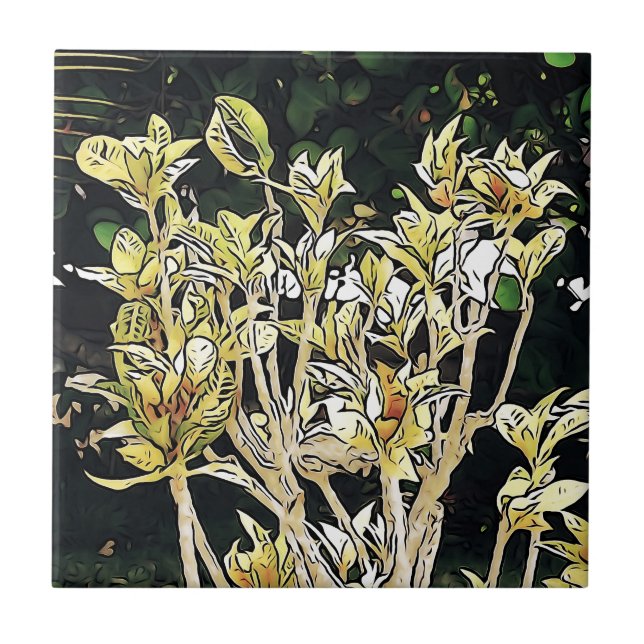 Azulejo De Cerámica Plantas de Cuba (Frente)