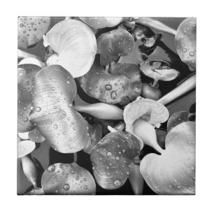 Azulejo De Cerámica Plantas de estanques y blanco y negro
