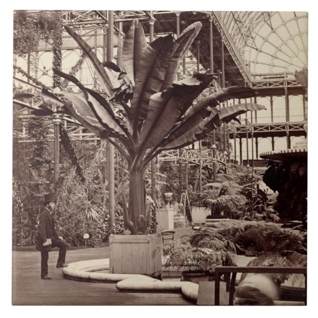 Azulejo De Cerámica Plantas tropicales en el cuarto egipcio, Pala (Frente)