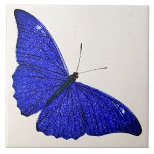 Azulejo De Cerámica Plantilla 1896 de la mariposa del azul cerúleo de