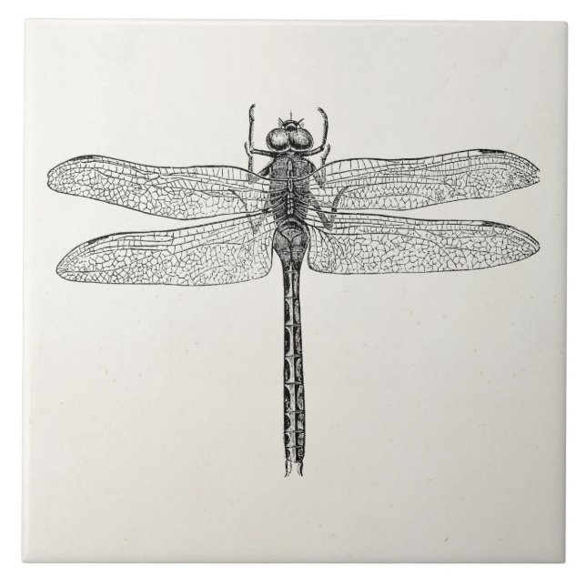 Azulejo De Cerámica Plantilla americana de la mosca del dragón de la (Frente)